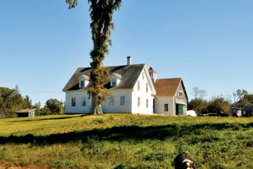 Bagaduce Farm, where Deborah Evans raises heritage breed pigs.
