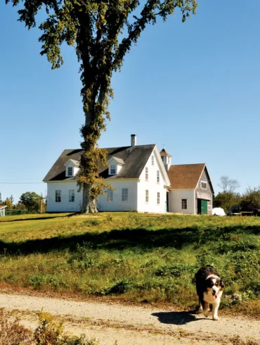 Bagaduce Farm, where Deborah Evans raises heritage breed pigs.
