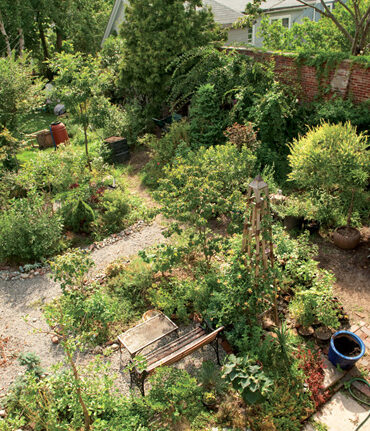 Munjoy Hill garden