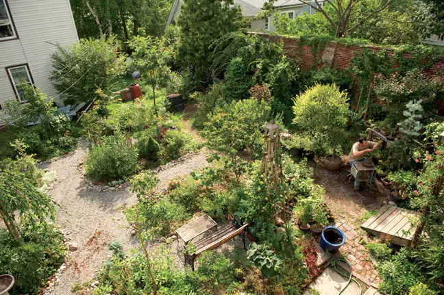 Munjoy Hill garden