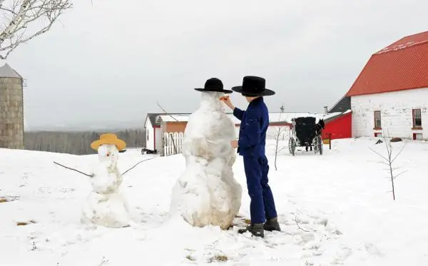 dee1312amish2_0