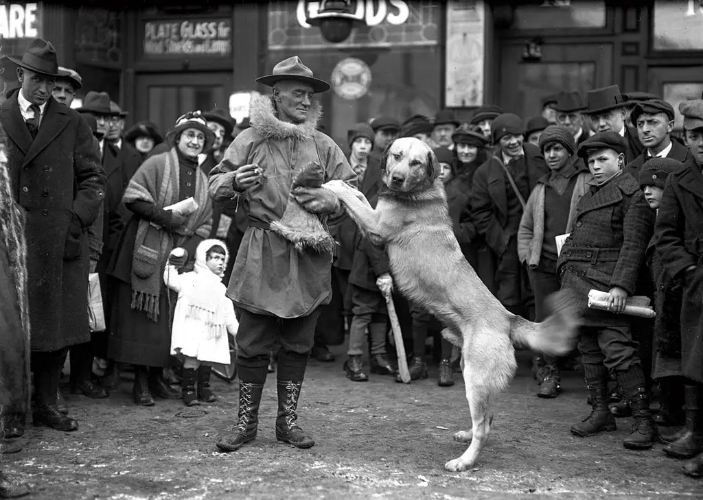 Arthur T. Walden and his winning chinook sled dog celebrate after a 123-mile race in 1922.