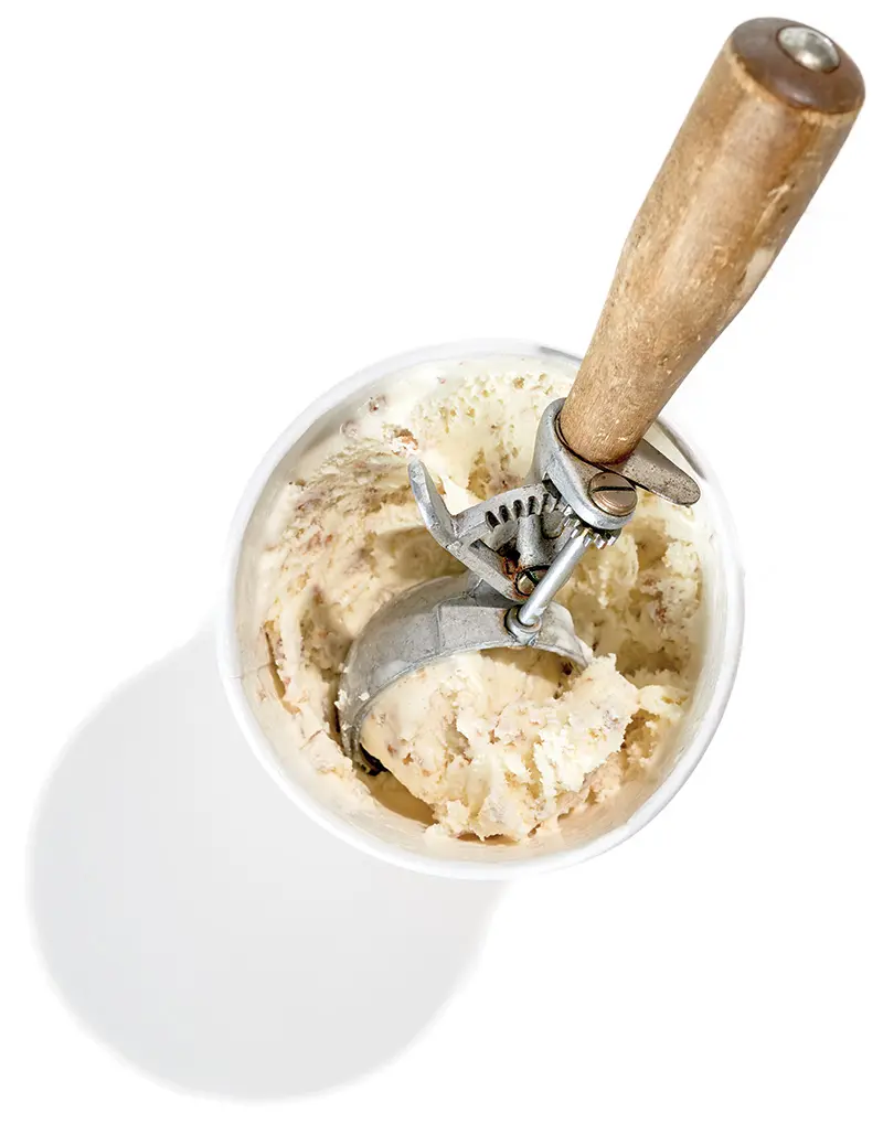 Grape-Nuts Ice Cream