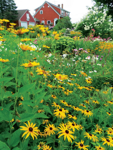 Maine Garden