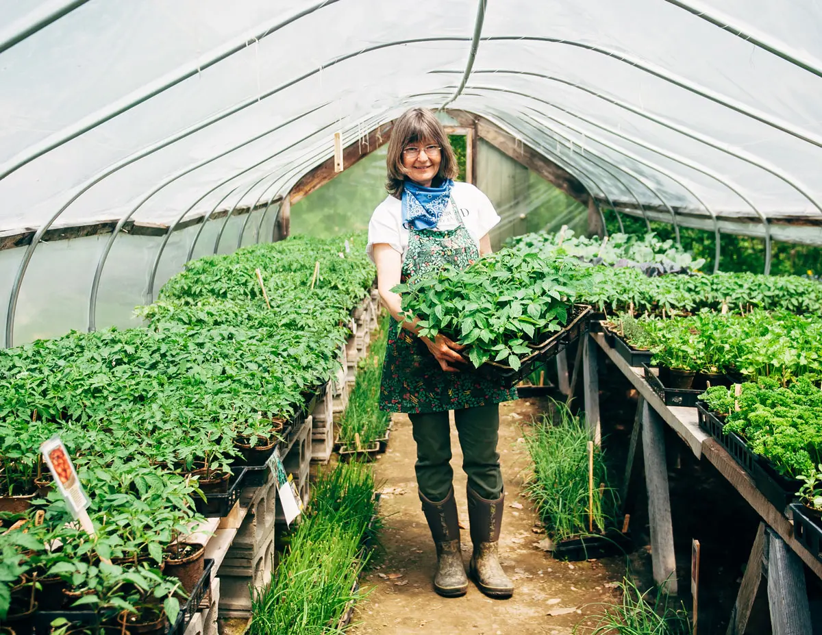 Best of Maine, Home and Garden