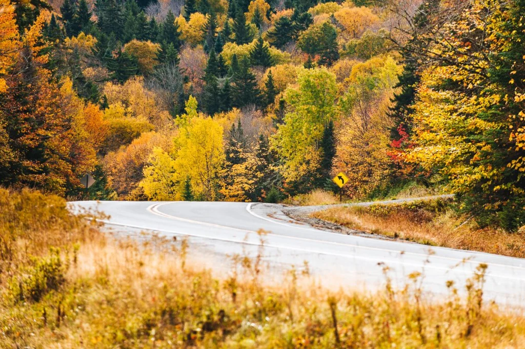 Maine Fall Foliage Road Trip