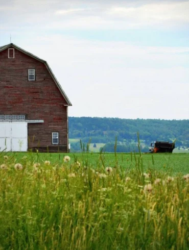 Barn, Aroostook County