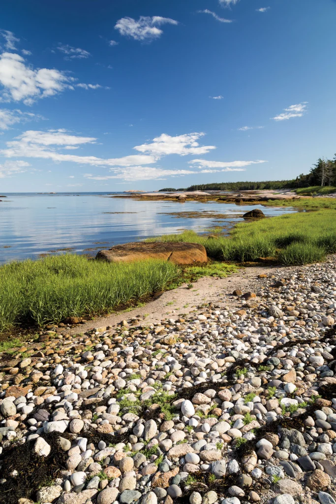 A beach on Great Wass Island. Photographed by Benjamin Williamson.