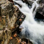 Maine Fall Foliage Tour, Down East Magazine