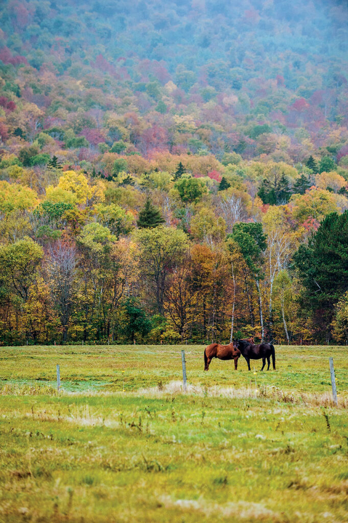 Maine Fall Foliage Tour, Down East Magazine
