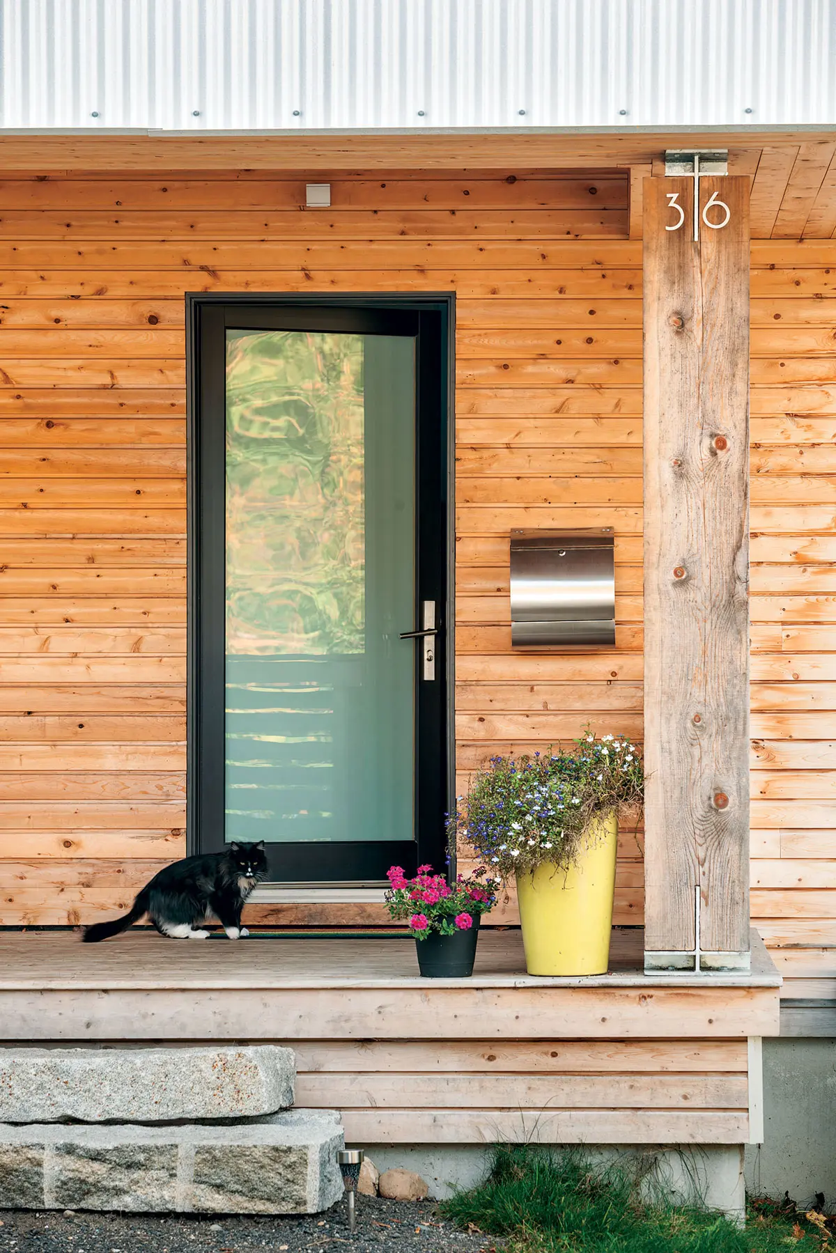 Maine Home, Nesting Habits, South Portland
