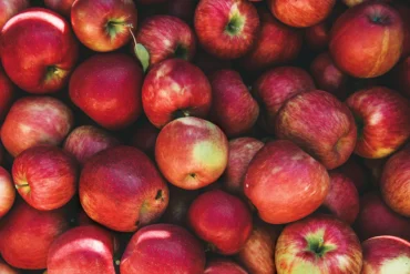 Maine Food, Hard Cider, Down East Magazine