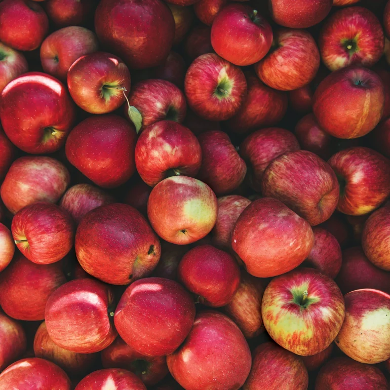Maine Food, Hard Cider, Down East Magazine