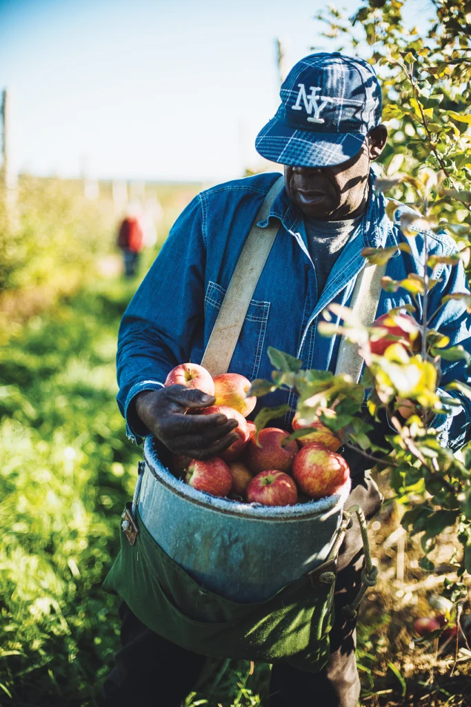Maine Food, Hard Cider, Down East Magazine