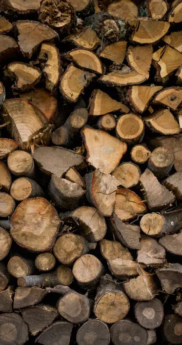 Getting Ready for Winter, Down East Magazine
