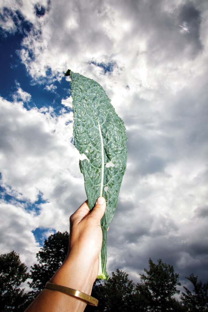 Hannah Semler, Maine Gleaning, Down East Magazine