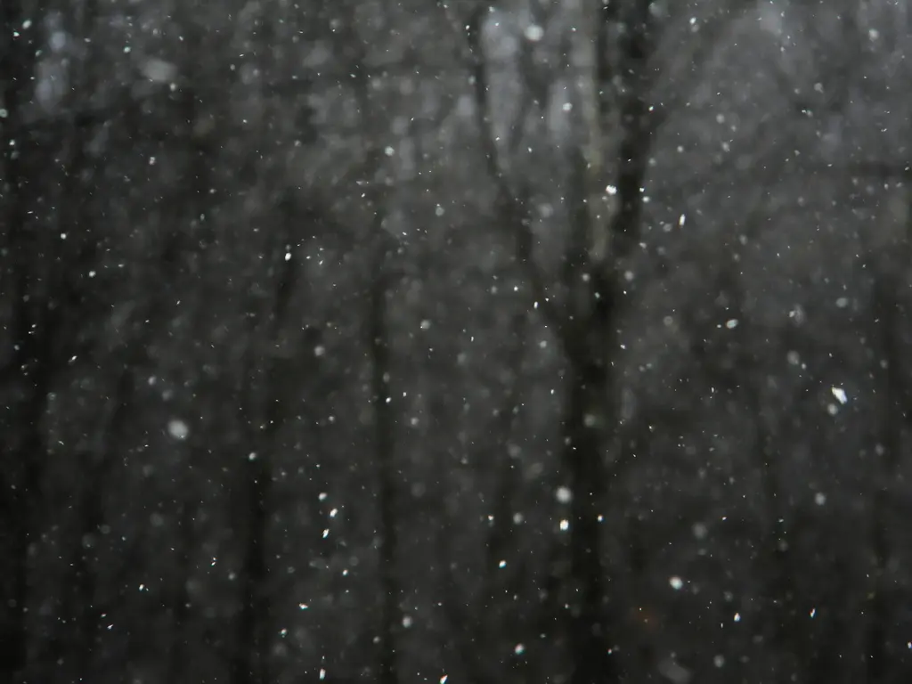Snow