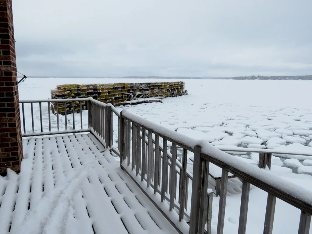 Stranded, Diane Cowan, Down East Magazine