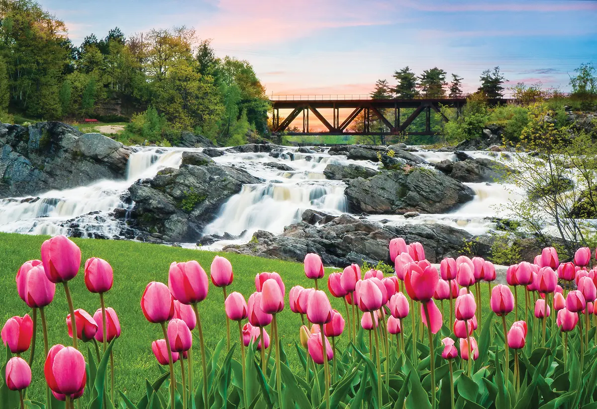 Where in Maine?