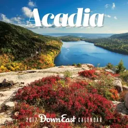 2017_acadiawall1