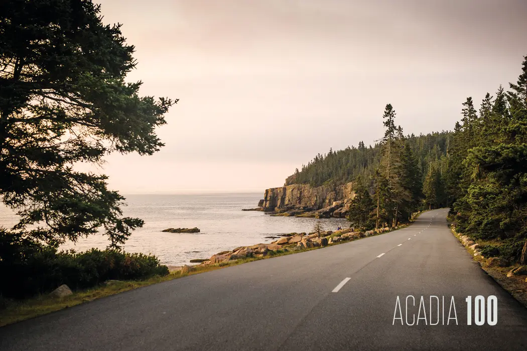 Acadia-Park-Loop-Road