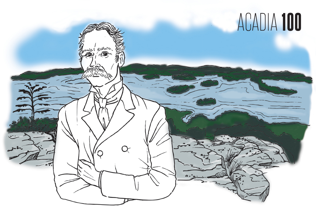 Acadia-Illustration-Dorr