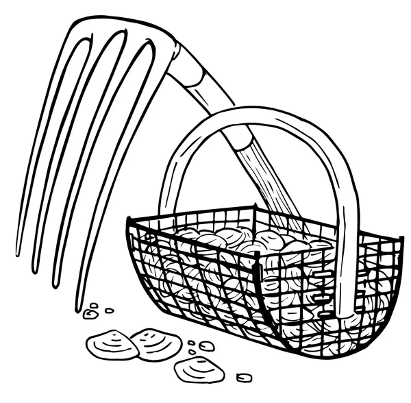 The Clam Digger