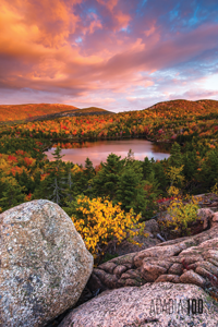 Acadia, Bowl