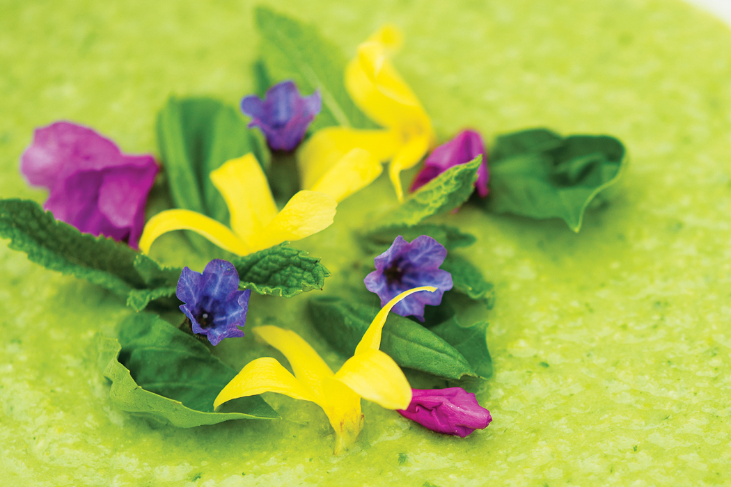 pea-soup