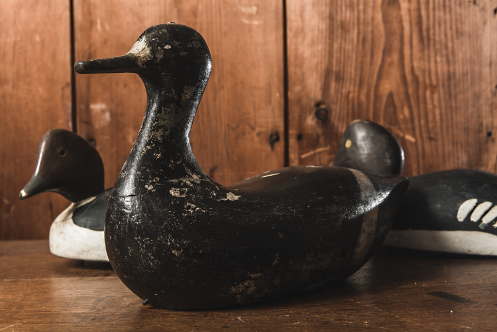 Decoys