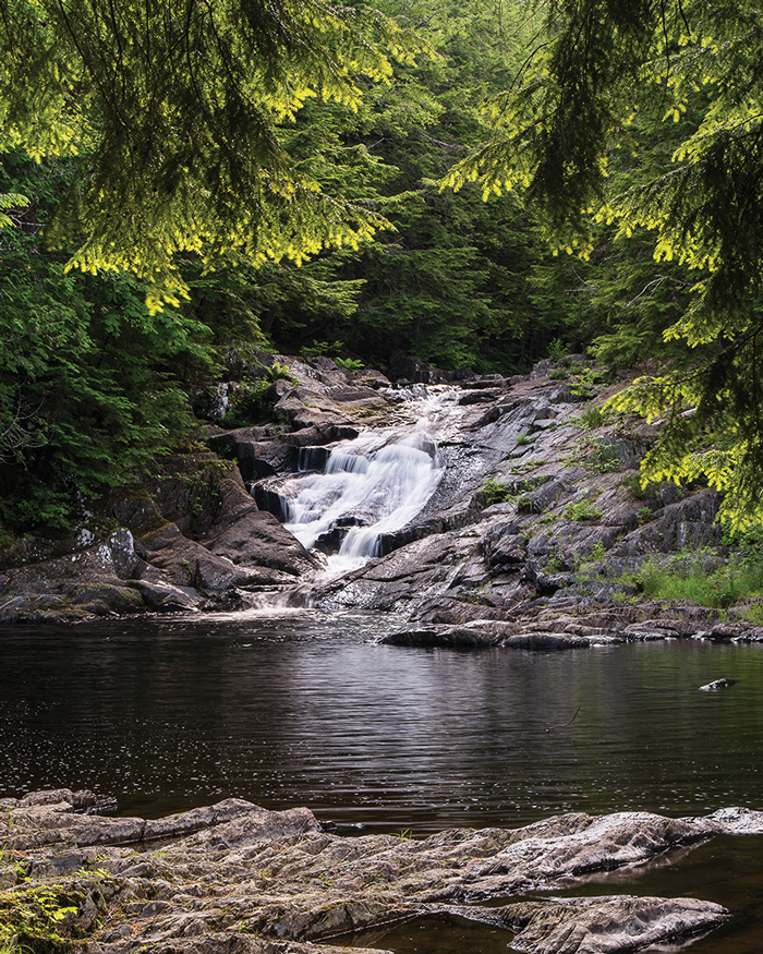 Little Wilson Falls and Gorge