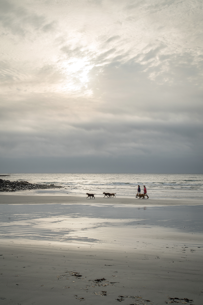 Seapoint Beach