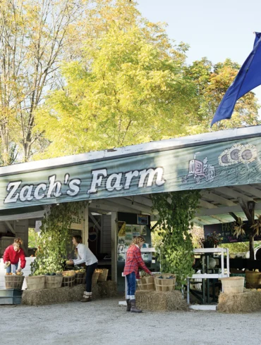 Farm Markets