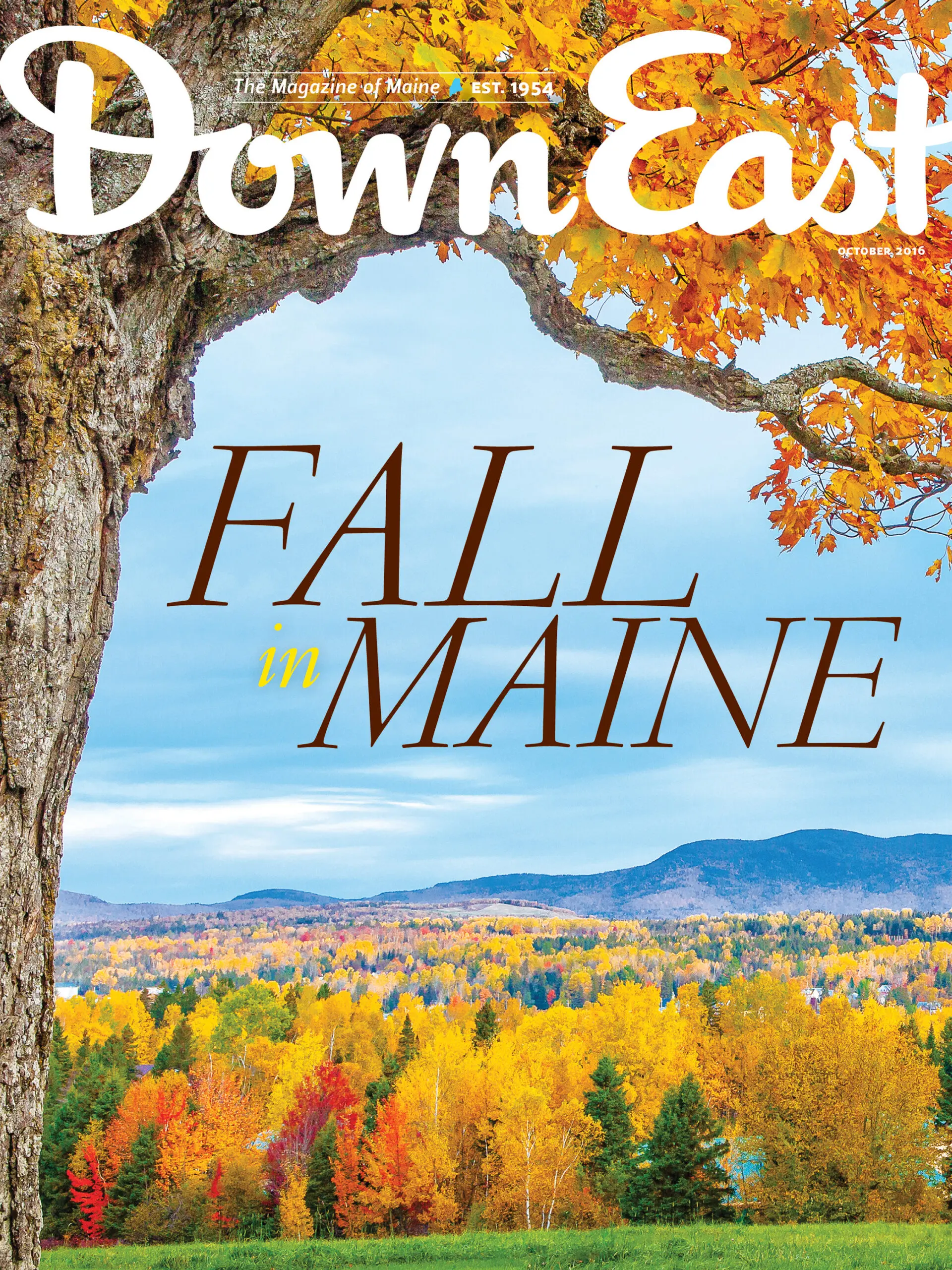 October Cover