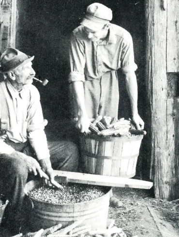 Kernels Of Truth