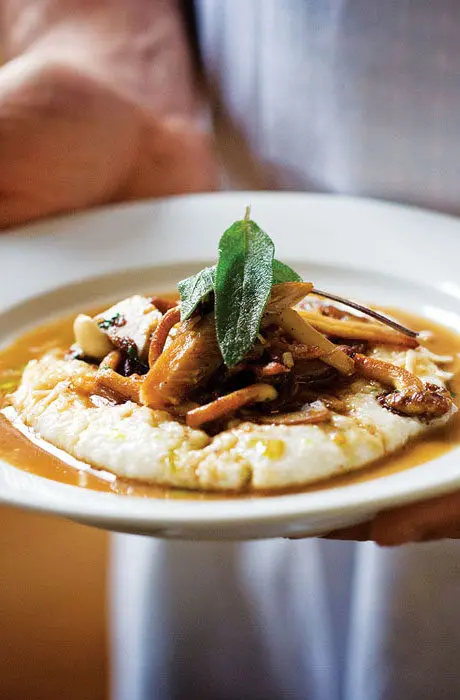 A gastropub entree on a white plate at Black Birch
