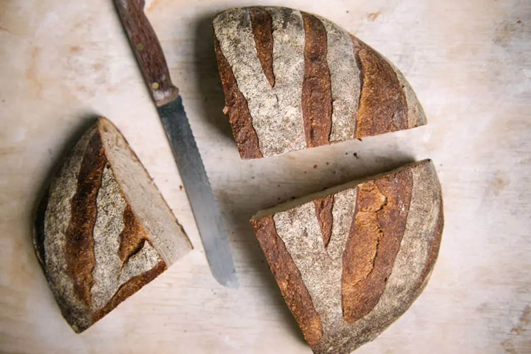 maine grains bread