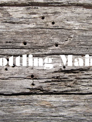 Bottling Maine