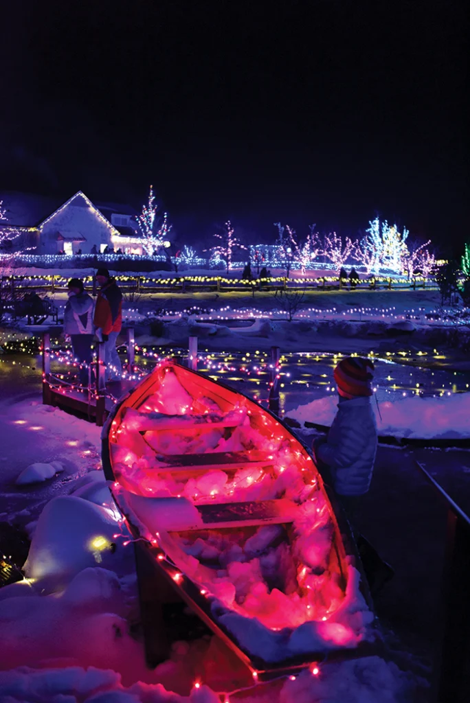 Winter Lights