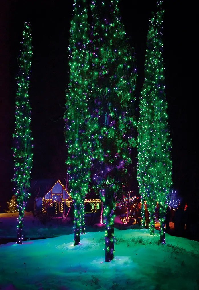 Winter Lights