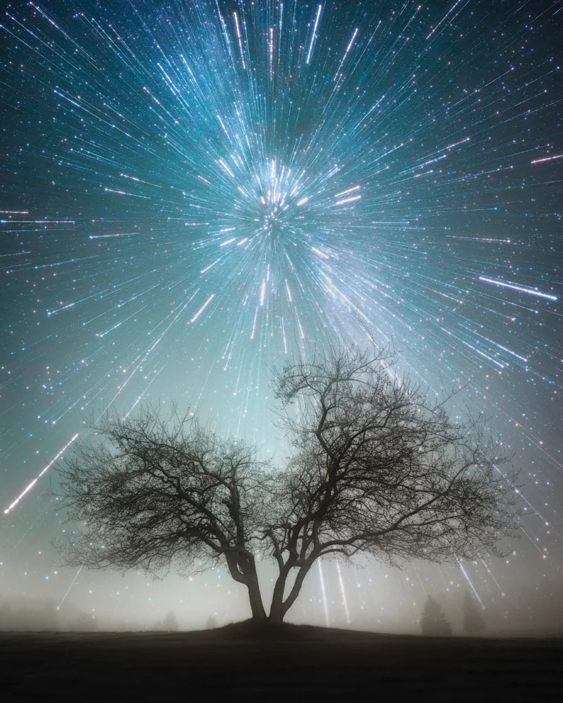 Winter Lights