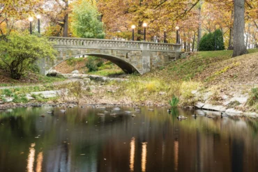 Where in Maine November 2017