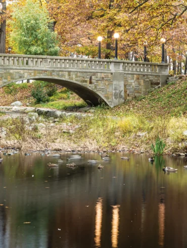 Where in Maine November 2017