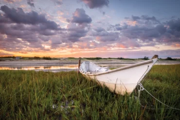 Reader Photo Contest