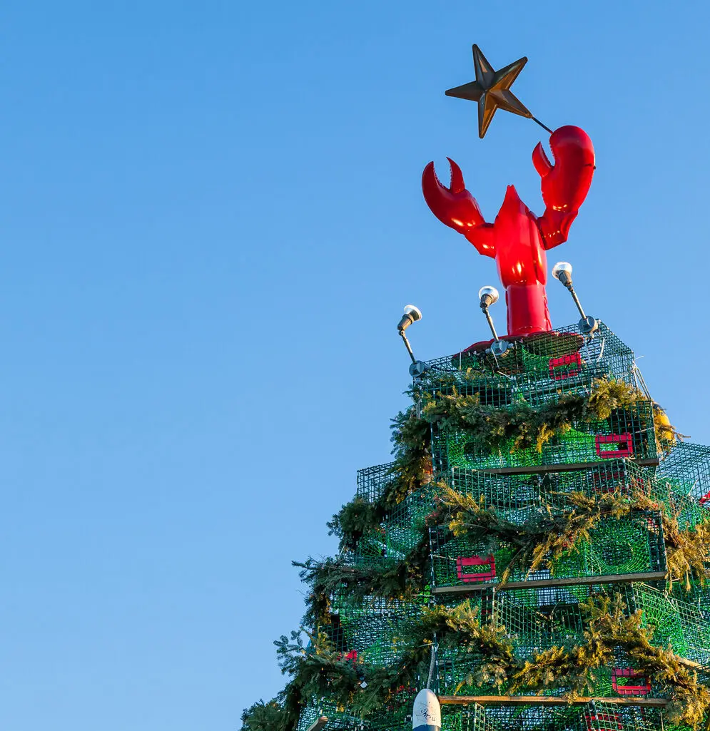 Rockland's lobster trap tree