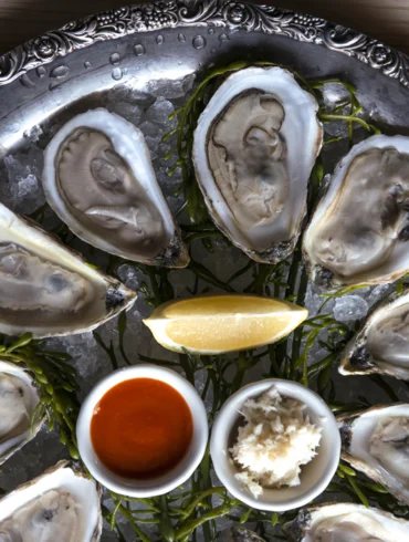 Oysters on a plate