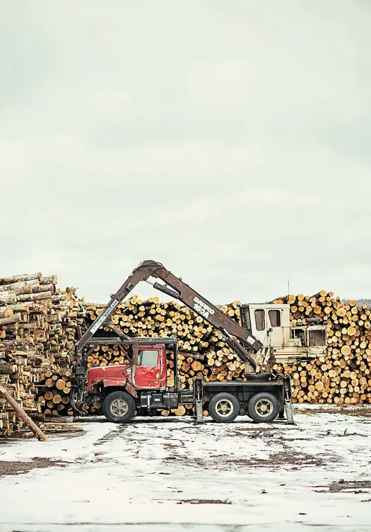 Logging site