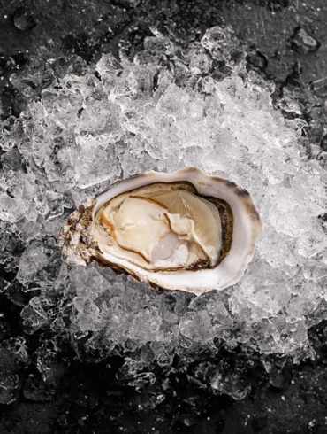 Oyster on ice