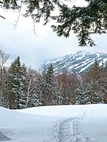 snow-streaked Mountain