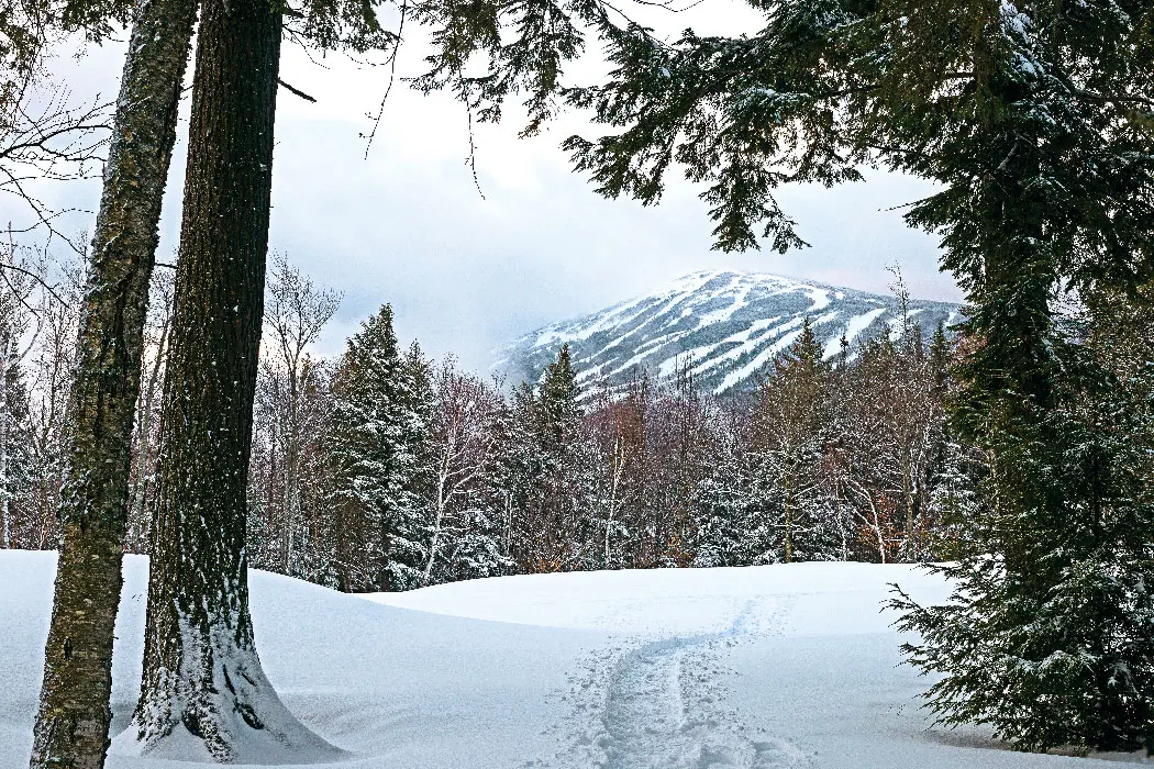 snow-streaked Mountain